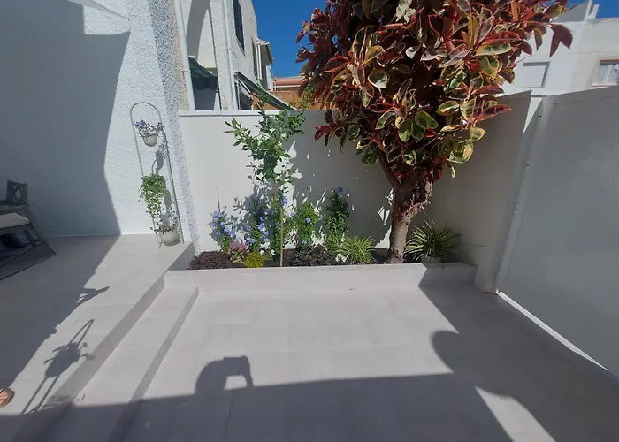 Aparthaus Olive Torrevieja